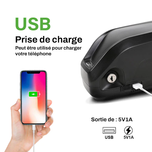 Batterie 36v13Ah (460Wh)